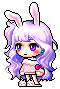 Liatris